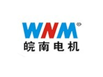皖南電機(jī)
